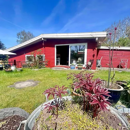 Authentic 70s Summer House In Hou *